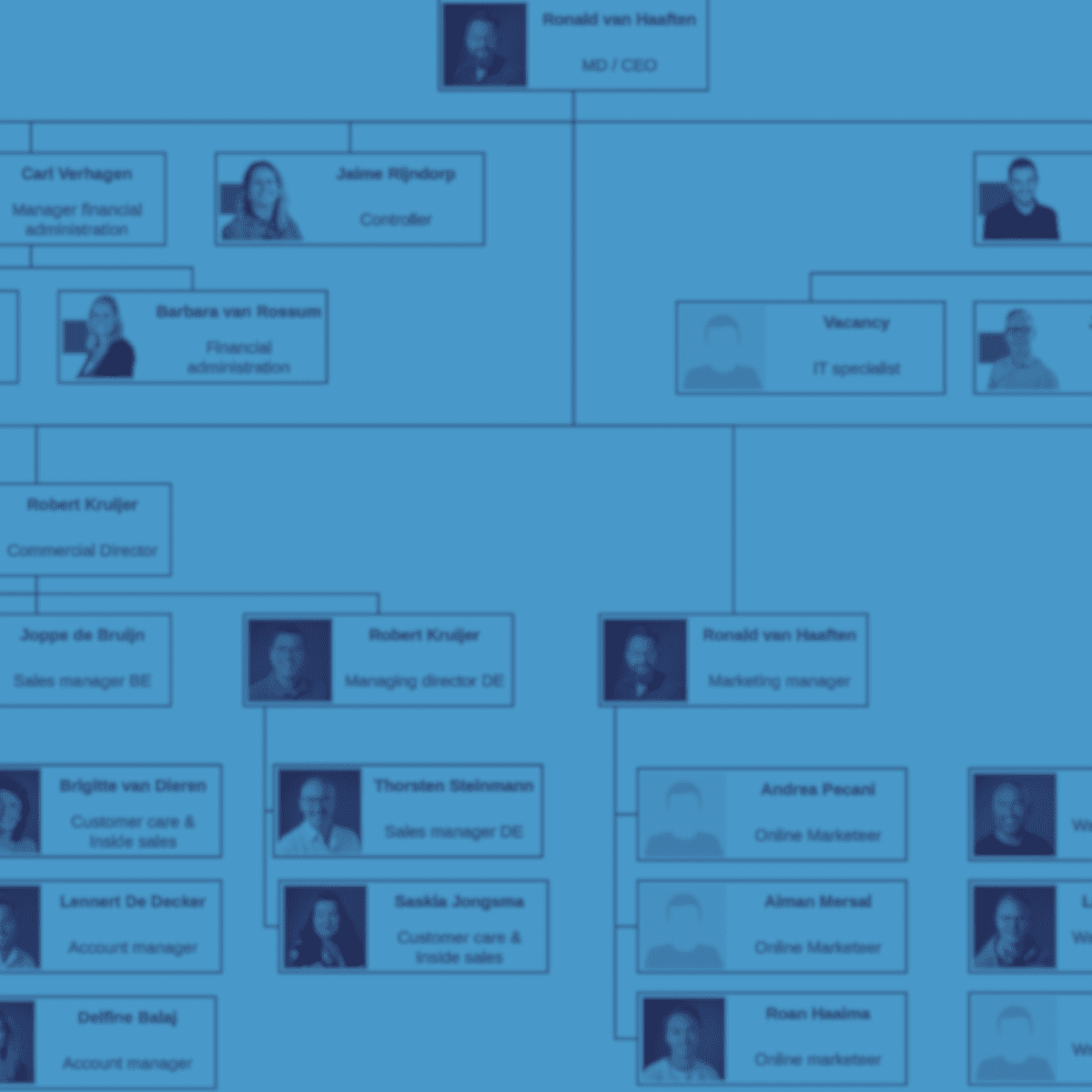 Picture for category Organization chart
